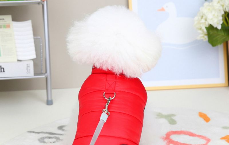 Automne et hiver nouveaux vêtements pour petits chiens veste en coton à deux pattes 22 combinaison spatiale cinq couleurs_voghion.com