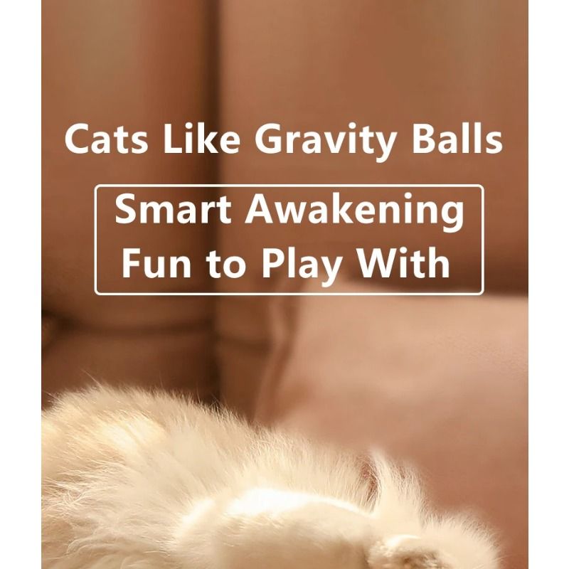 1Pc Cat Interactive Ball Smart Cat Toys Indoor Automatic Rolling Magic Ball Electronic Interactive Cat Toy Cat Game Accessories_voghion.com