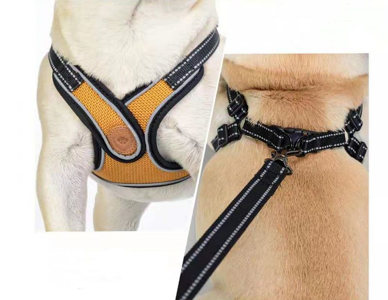 Pet Chest Harness Leash Set Walking Rope Cat Chain Dog Anti-Pull Adjustable_voghion.com