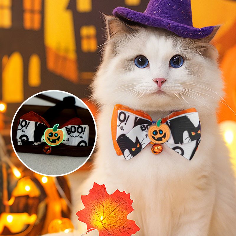 Decorazione per gatti di Halloween, divertente collezione di collari per cuccioli con zucca luminosa_voghion.com