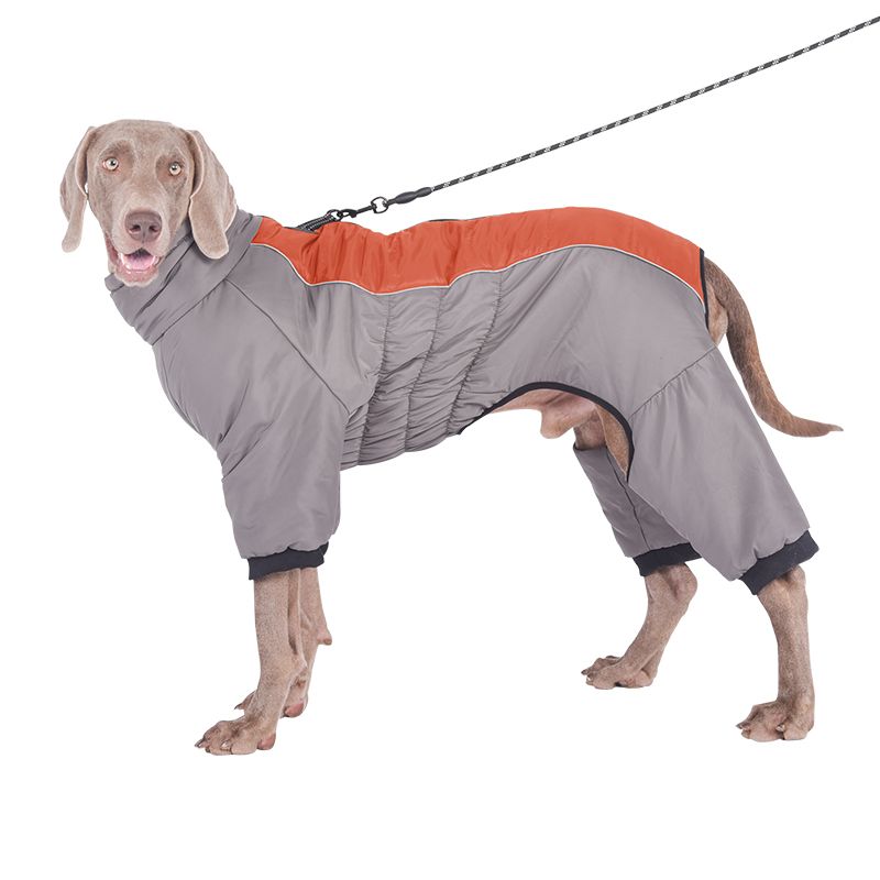 Combinaison d'hiver imperméable pour chien en polyester par PawParty Store_voghion.com