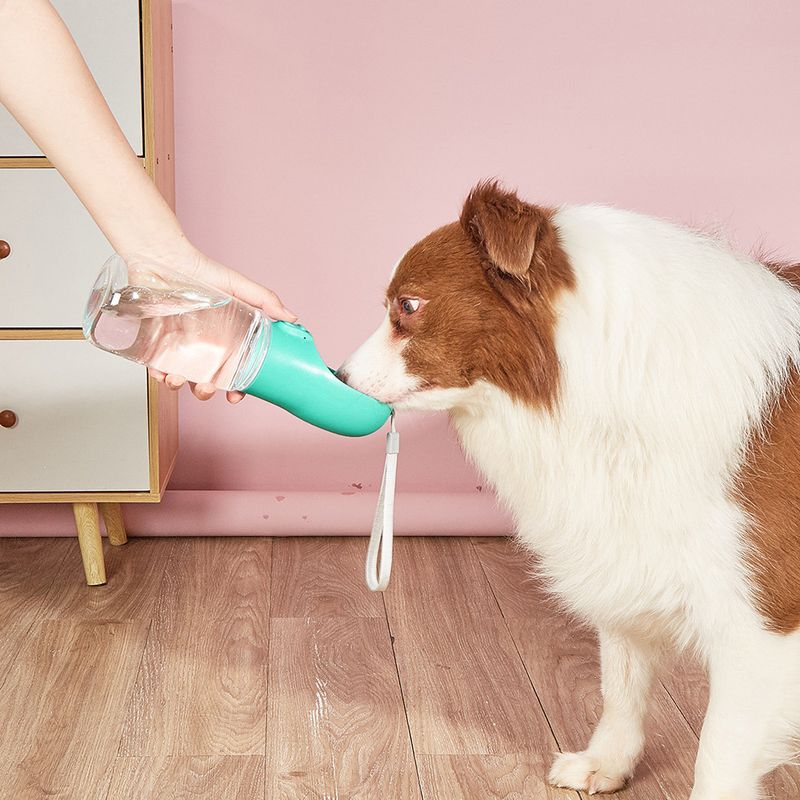 Bouteilles d'eau pour animaux de compagnie, gamelles, articles de voyage, fournitures pour chiots, carlins, chihuahuas, par PawParty Store_voghion.com