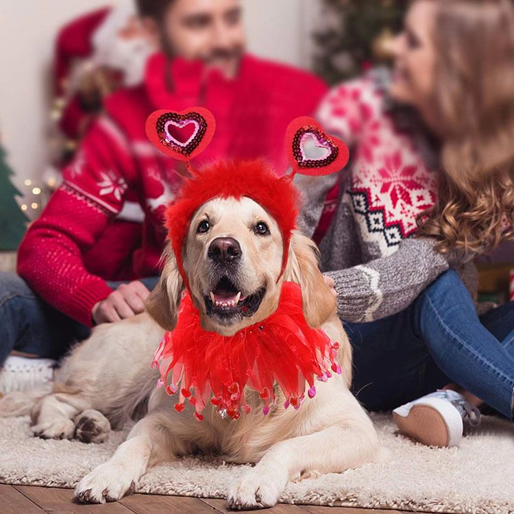 Herzförmiges Stirnband für Hunde, bauschiger Rock, Kostüm, rot, für Feiertage, Valentinstag, Party-Zubehör_voghion.com