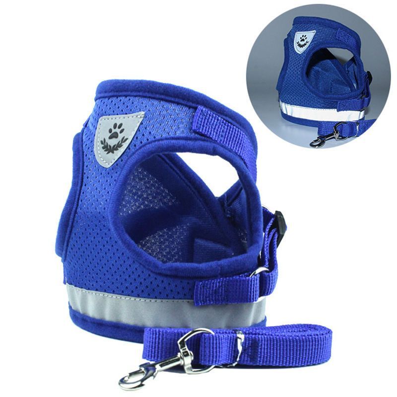 Katzengeschirr Weste Gehleine Leine Für Welpen Hundehalsband Polyester Verstellbares Hundegeschirr Aus Mesh Für Kleine Mittelgroße Haustierzubehör_voghion.com