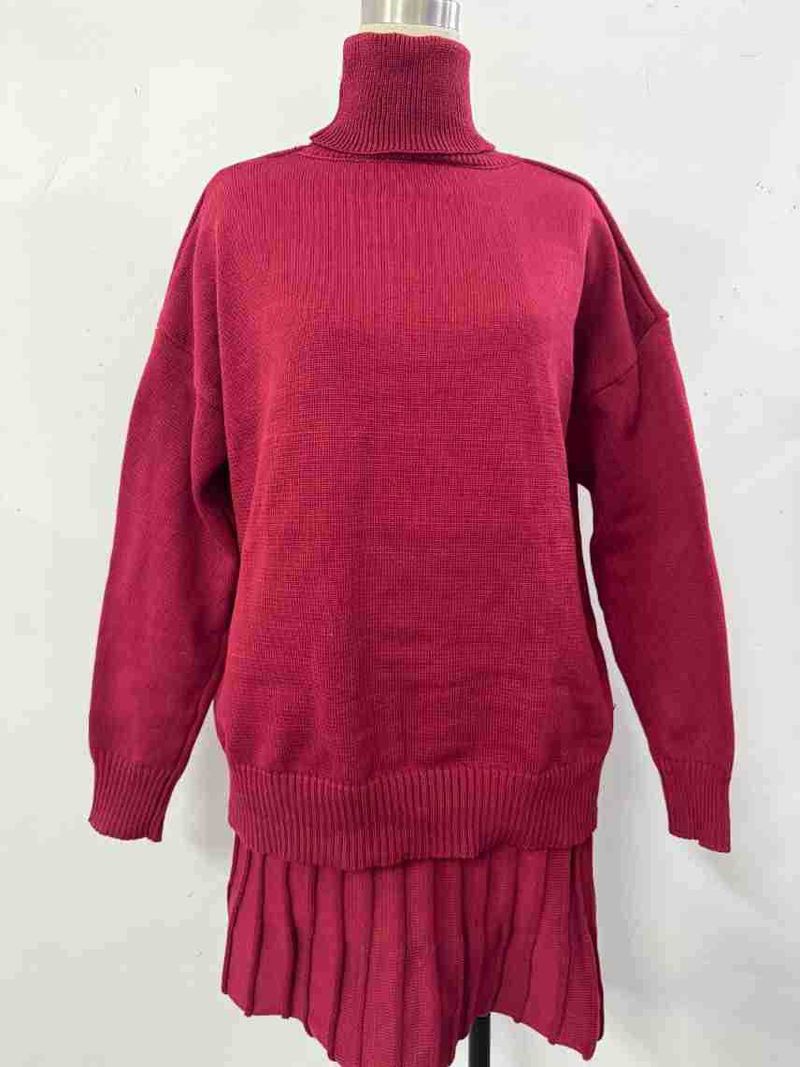 Damenbekleidung Herbst und Winter Neuer Stehkragen Langarm Mode Lässig Plissee Kurzrock Anzug_voghion.com
