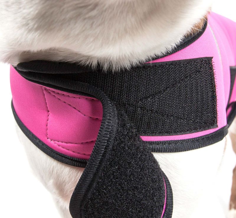 Extreme Neoprene Multi-Purpose Protective Shell Dog Coat_voghion.com