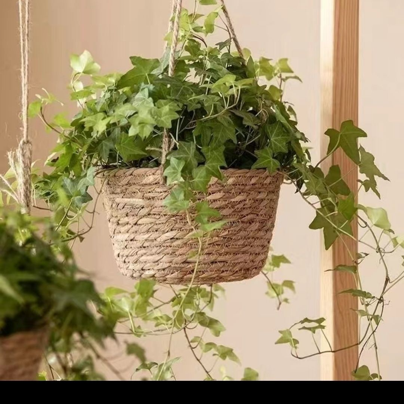 Hanging Plants, Baskets, Hanging Pots_voghion.com