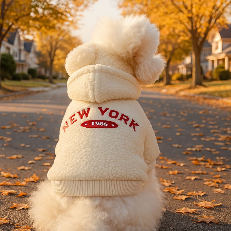 Sweat-shirt New York pour petit chiot, chien et chat, automne-hiver 2025, Halloween_voghion.com