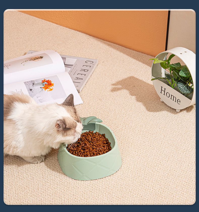 Ciotola per cani di grande capacità, antiurto, con protezione antivento per il collo, a forma di ananas e fragola, in plastica per animali domestici_voghion.com