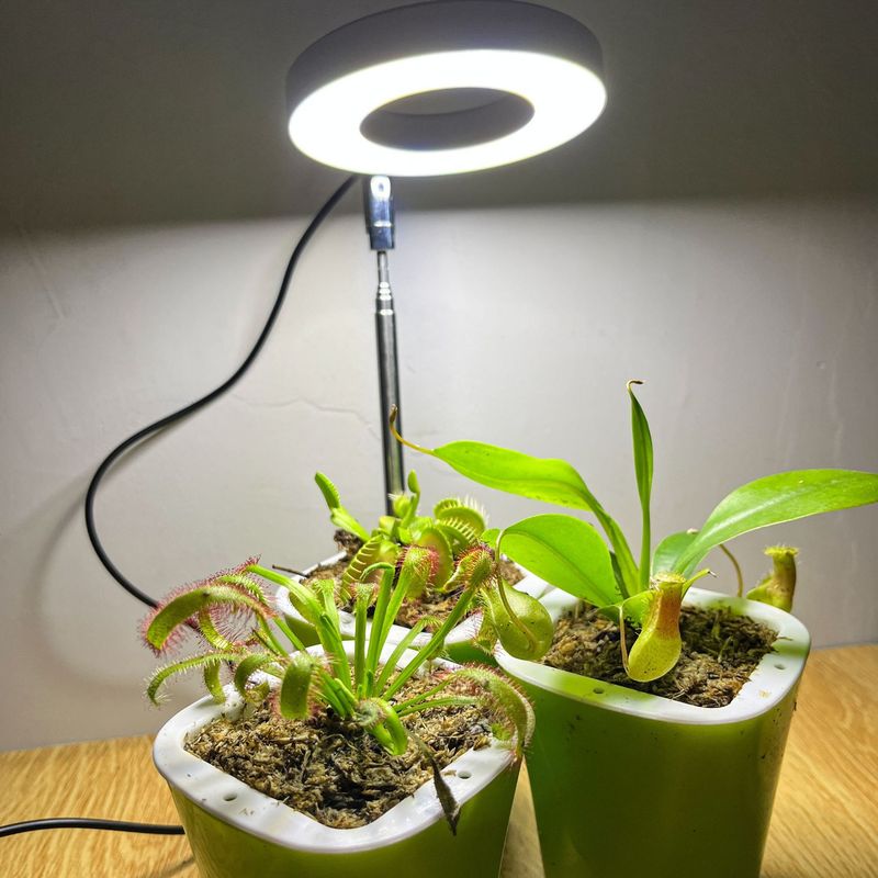 Full Spectrum Indoor Solar LED Plant Growth Lamp For Succulent Plants And Flowers Indoor Ground Mounted Retractable_voghion.com