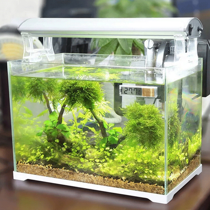 Thermomètre autocollant numérique LCD 3D pour Aquarium, crevettes, réservoir de poissons, température_voghion.com