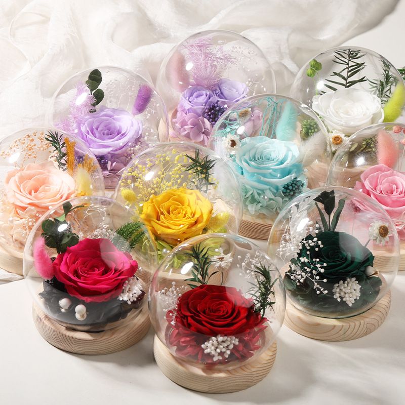 Cupola in vetro con rose stabilizzate - Rose vere di alta qualità + copertura in vetro spesso, luce LED con USB, regalo per San Valentino/Qixi/compleanno/matrimonio/laurea_voghion.com
