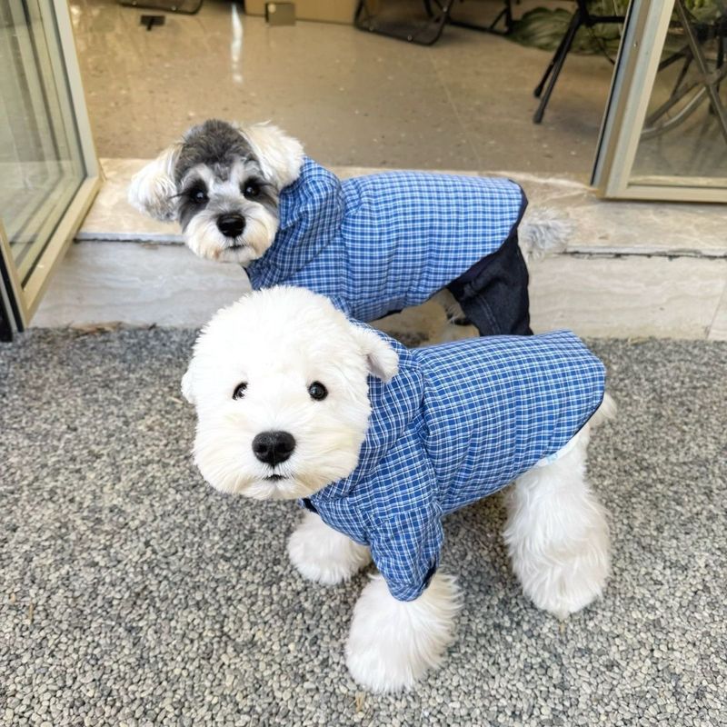 Cappotto e giacca in cotone per cani, caldi, invernali, Schnauzer, Bichon, Teddy, Shiba Inu, West Highland_voghion.com