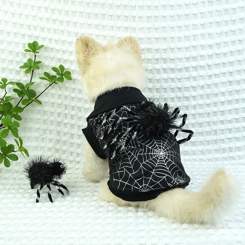 Costume da trasformazione per cani e gatti di Halloween, stile felpa nera a due zampe, ragnatela_voghion.com