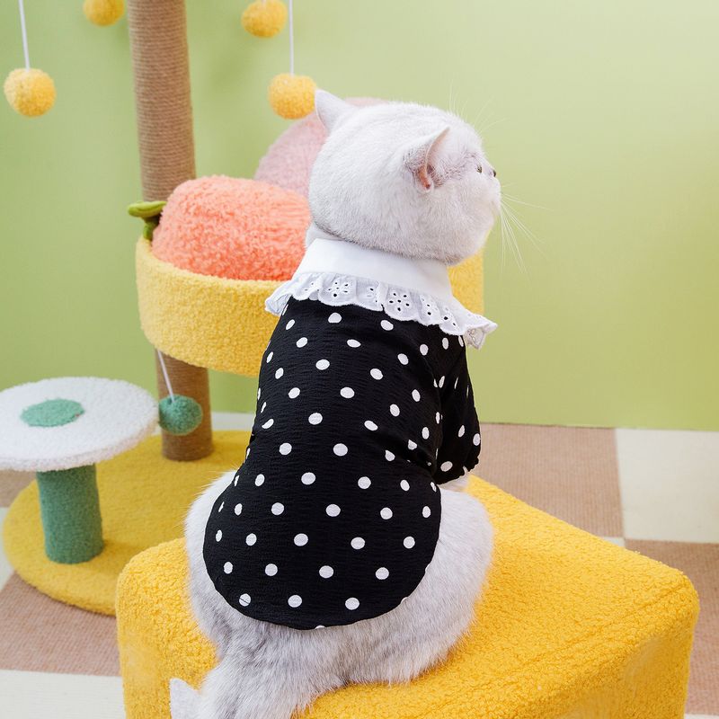 24 Spring Summer Blue Star T-Shirt Pet Cute Leash Attachment Cat Clothes_voghion.com