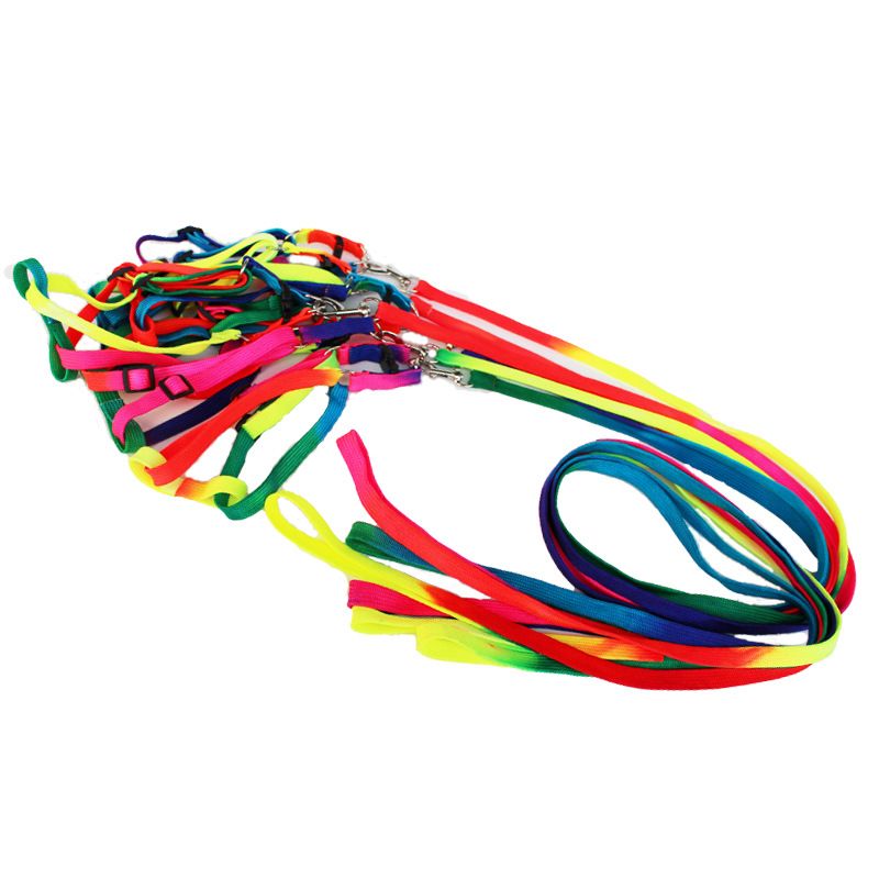 Pet Colorful Chest Harness Small Leash Dog Chain_voghion.com