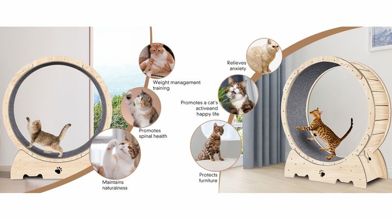 Cat Exercise Wheel For Indoor Cats, Cat Running Wheel With Carpeted Runway, Cat Sport Treadmill Wheel For Kitty's Longer Life, Fitness Weight Loss Device, 37" Natural Wood Color_voghion.com