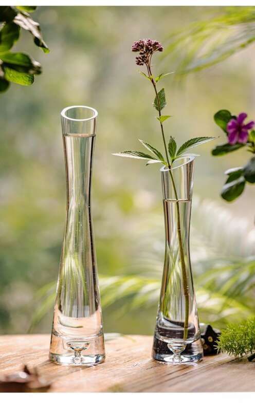 【 46000 People Collected 】 Juhan Nordic Ins High Beauty Arrangement Water Nourishing Small Vase Glass Transparent_voghion.com
