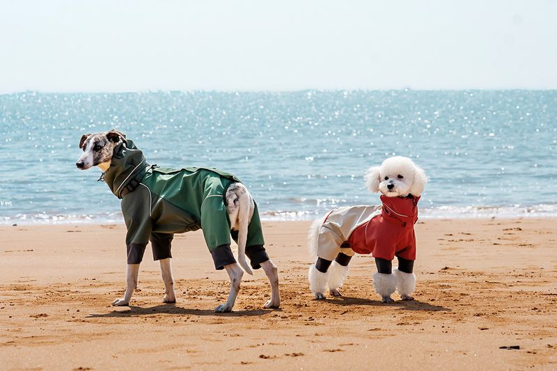 Dog Four-Legged Raincoat Waterproof Wear-Resistant Lightweight Jacket Pet-Specific Rainy Day Full Coverage Windproof Pet_voghion.com