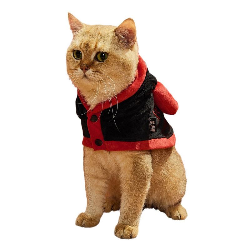 Kleine hond kat Halloween persoonlijkheid grappig kostuum mantel huisdier demon transformatie outfit_voghion.com