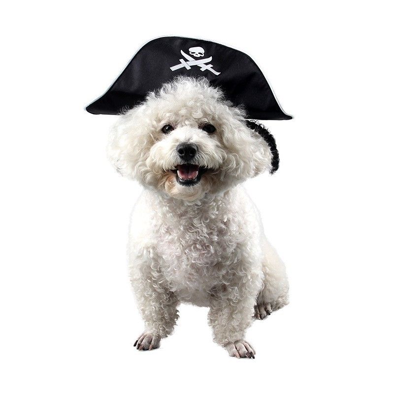 Pet Supplies Halloween Party Performance Costume Spring And Autumn 3D Wig Pirate Cat Hat_voghion.com
