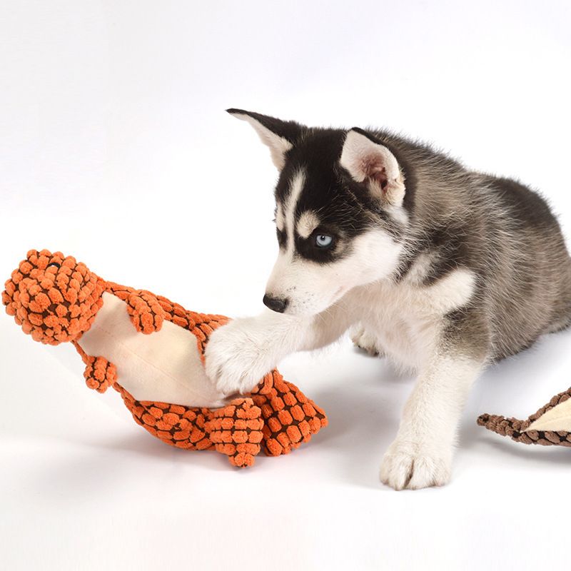 Plüsch-Dinosaurier-Spielzeug, quietschend, süß, bissfest, Cordspielzeug für kleine und große Hunde, Welpenspielzeug, Hundezubehör von PawParty Store_voghion.com