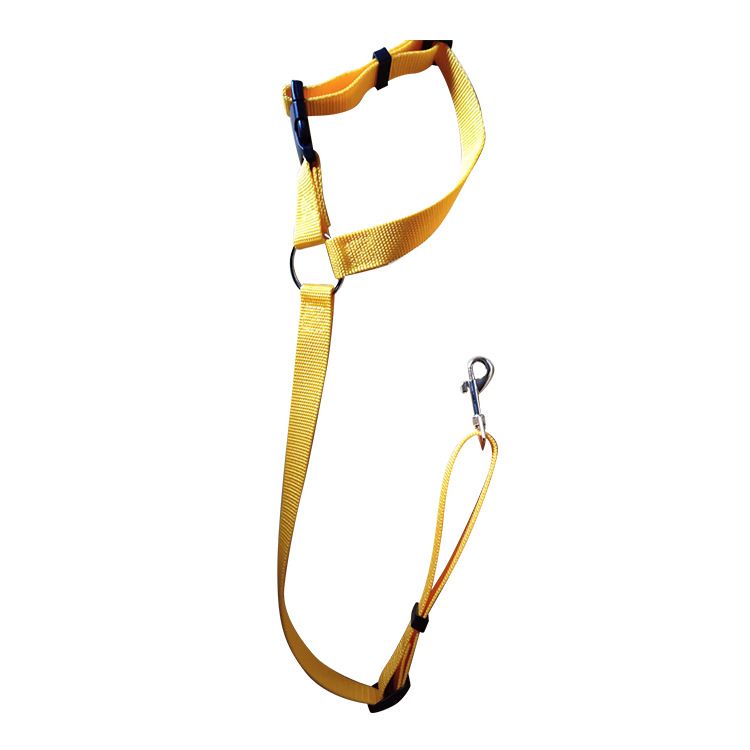 Arnês de segurança para animais de estimação, anel redondo, cinto de carro para cães, assento traseiro, guia, corda de tração_voghion.com