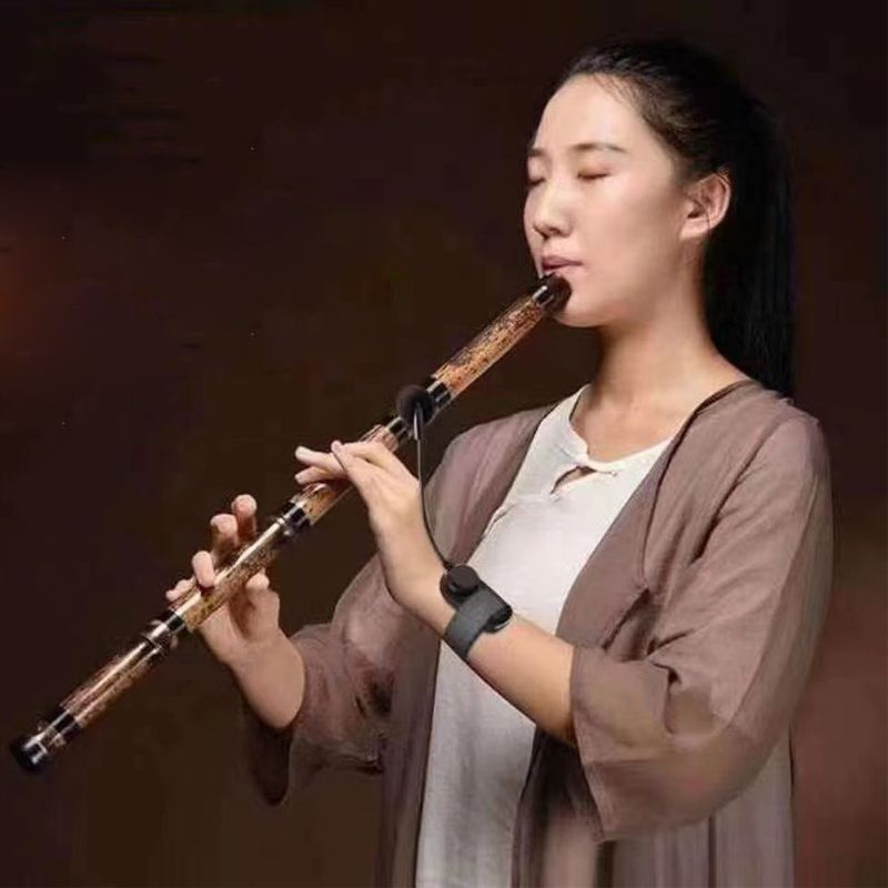 Microphone sans fil adapté au saxophone, à la trompette/au trombone, au cor français et à d'autres instruments à plusieurs orchestres_voghion.com