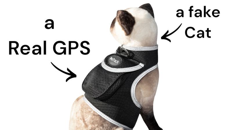 Waterproof GPS Pocket Dog Tracking Device w/ Realtime Remote Tracking Size:XL_voghion.com
