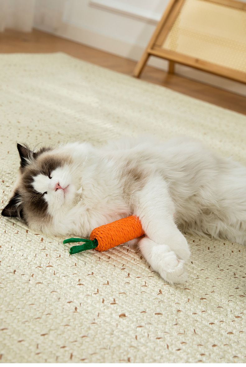 New Self Hi Cat Durable Bite and Noise Relieving Tool Pet Toy_voghion.com