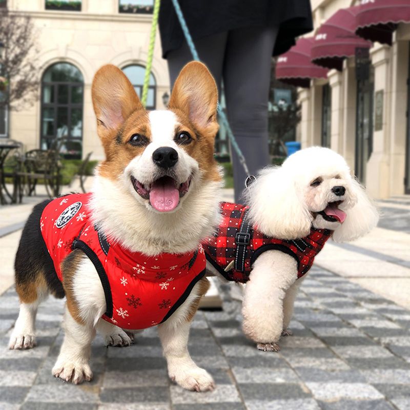 CDDMPET Winter Cotton Dog Jacket S-2XL By PawParty Store_voghion.com