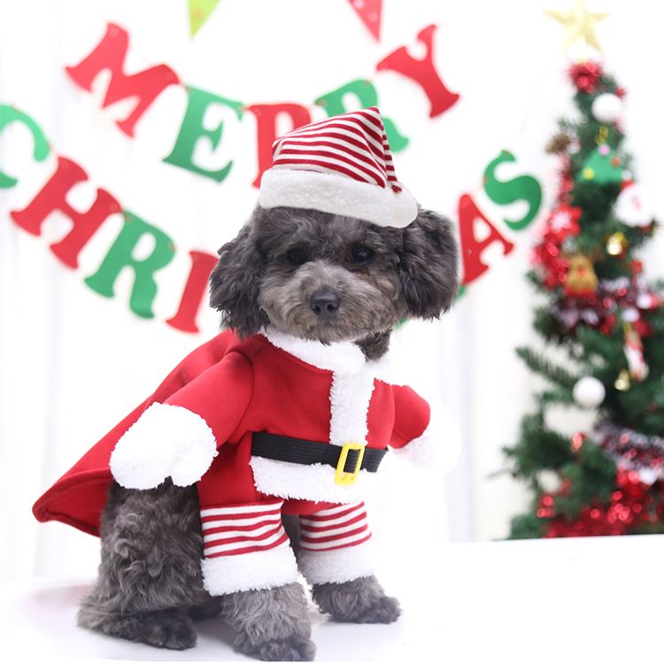 Weihnachten Große hund Katze Santa Claus kleidung hund heimtierbedarf pelzigen lustige zwei füße goldene haar transformation_voghion.com