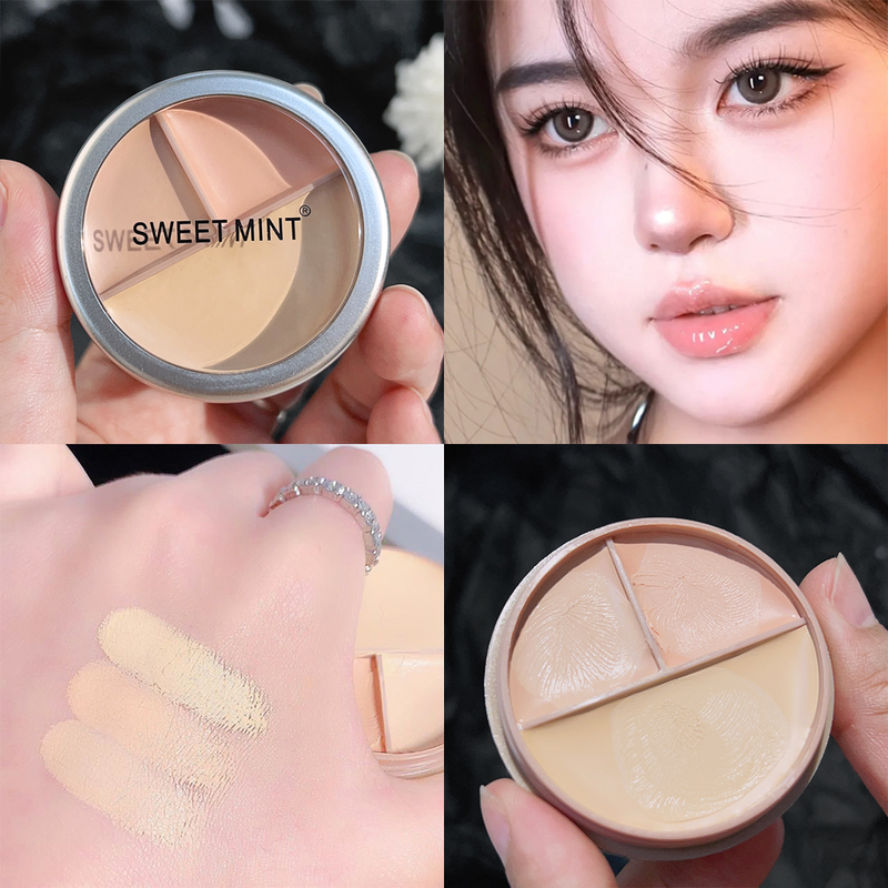 Concealer-Palette, wasserfeste Creme-Textur, deckt Akne-Markierungen, Augenringe, multifunktionales Make-up, langlebig, Bri ab_voghion.com