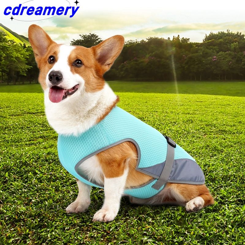 Summer Cooling Dog Vest, Breathable Mesh Jacket, Universal Outdoor Pet Cool Down Jacket For Dogs, Adjustable Cold Coat For Dogs_voghion.com