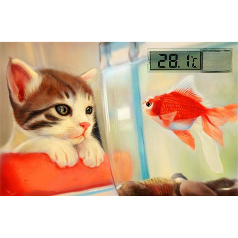 Thermomètre autocollant numérique LCD 3D pour Aquarium, crevettes, réservoir de poissons, température_voghion.com