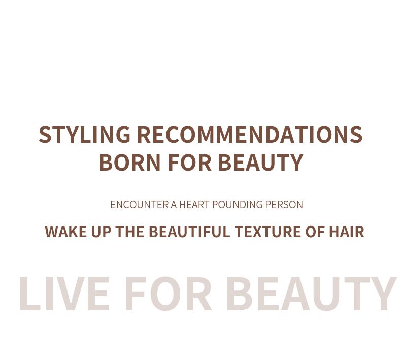 Hair Dryer, High-Speed Electric Turbine Airflow, Low Noise, Constant Temperature And Quick Drying, Suitable For Home Salons._voghion.com