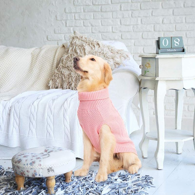 Küçük ve Orta Boy Köpekler İçin Yeni Evcil Hayvan Kedi Köpek İki Ayaklı Sonbahar Kış Kıyafeti Yüksek Yakalı Bükülmüş Halat Örgü Kazak_voghion.com