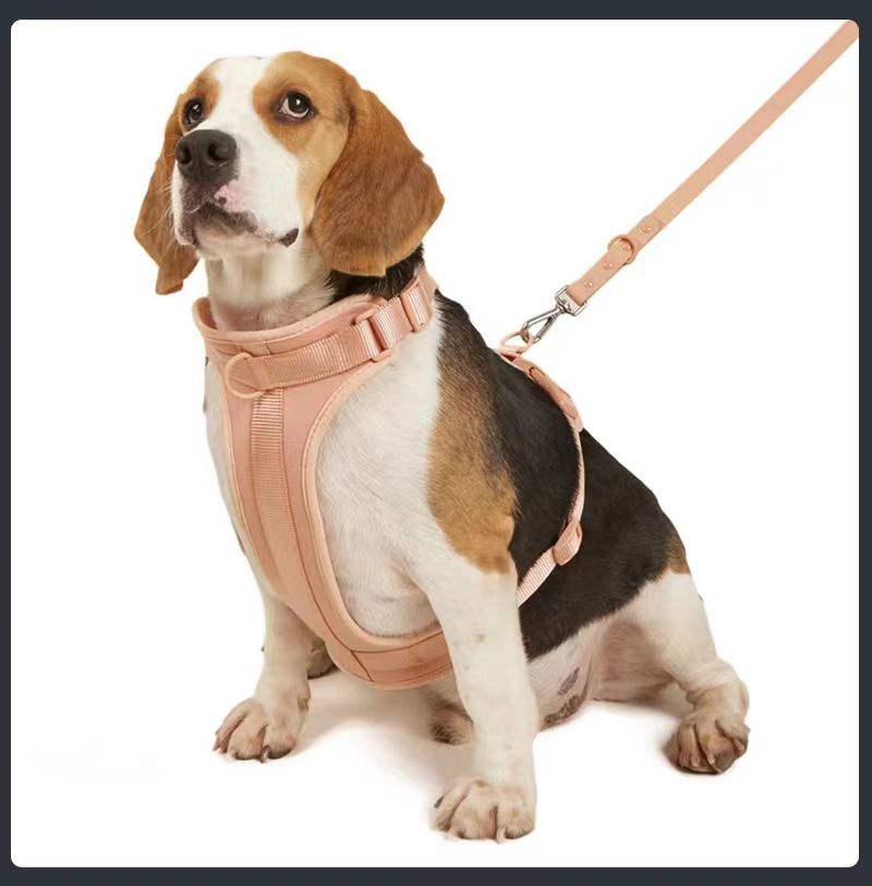 Collare antisporco e antimorso per animali domestici in PVC, set di trazione Waldone dello stesso modello_voghion.com