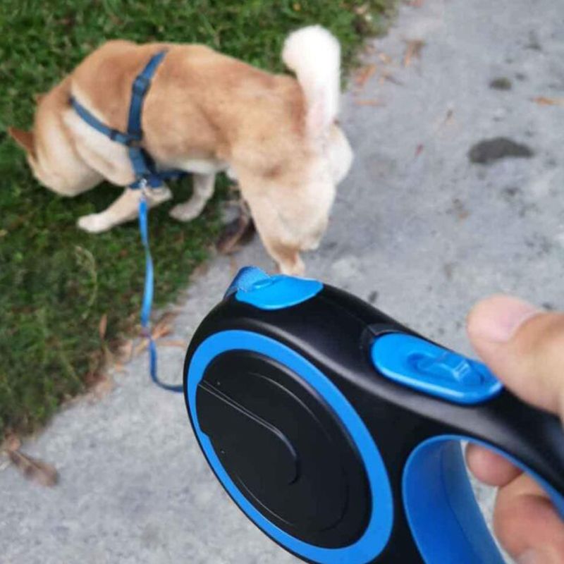 5m Automatic Retractable Cat Walking Extending Dog Leash, Rope For Small And Medium Dogs, Pets By PawParty Store_voghion.com