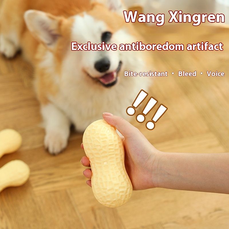Jouet pour petit chien Teddy Chai résistant aux morsures et au grincement des dents_voghion.com