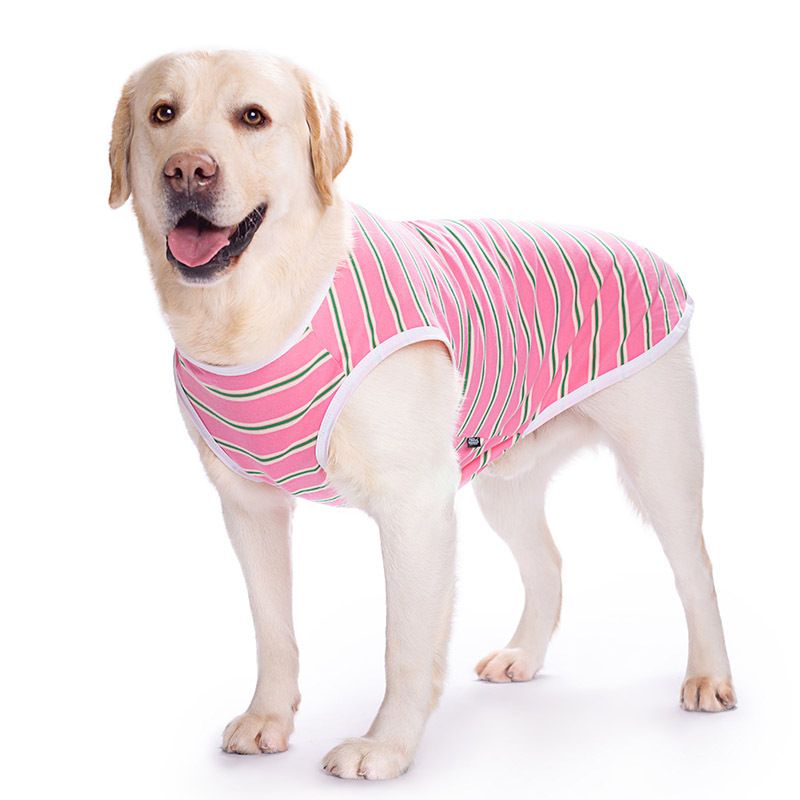Hundekleidung Frühlings- und Sommerstil Golden Retriever Labrador Extract Mittelgroße große Hunde Baumwollfreie gestreifte Zweibeinweste_voghion.com