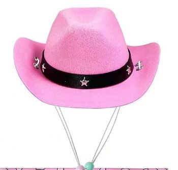 Ensemble de vêtements de cowboy et bavoir pour chien et chat de style western, chapeau à mentonnière pour animal de compagnie_voghion.com