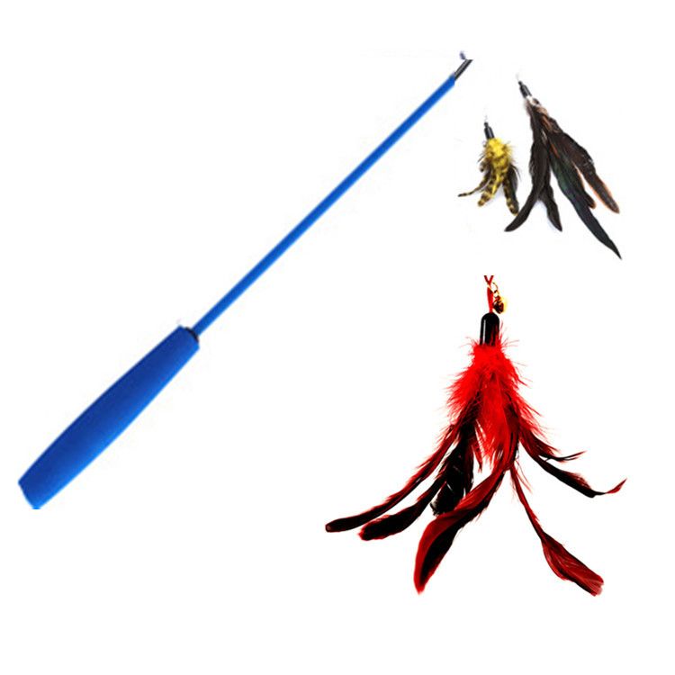 Jouet pour chat Teaser Wand avec têtes de rechange en plumes de poulet_voghion.com