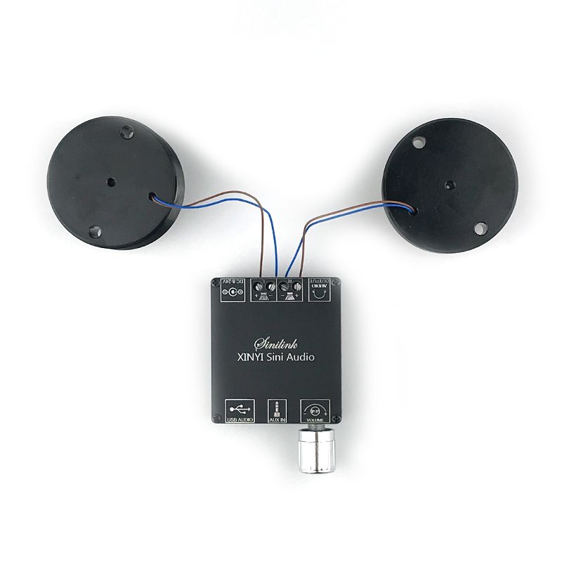 2*25W Audio Tragbare Resonanz Vibration Lautsprecher Bluetooth-Kompatibel DIY Stereo Klasse D Power Verstärker Subwoofer HiFi_voghion.com