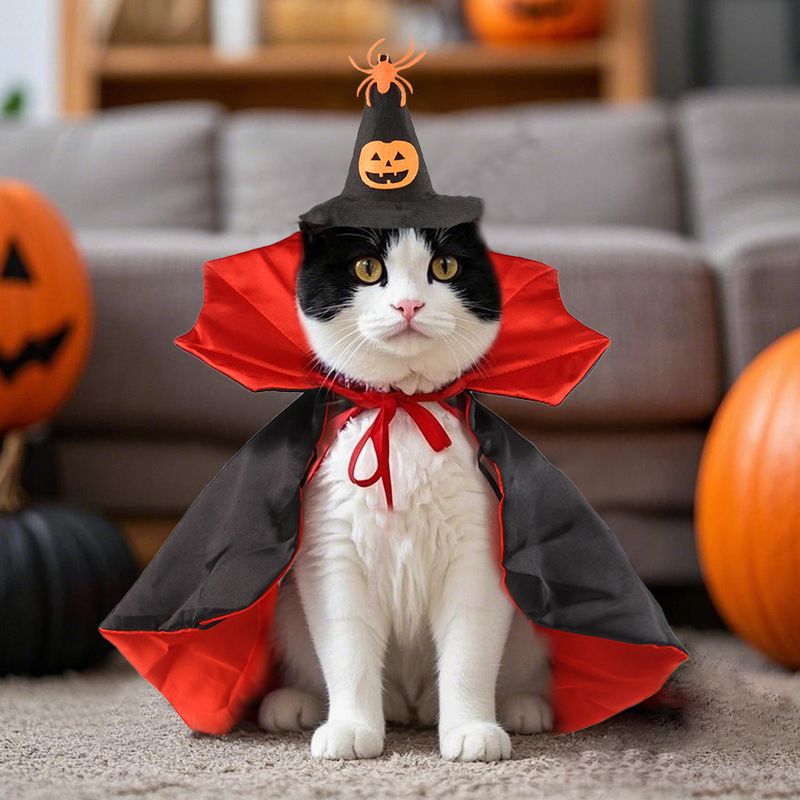 Halloween Haustier Spinne Hexenhut Umhang Zweiteiliges Set Katze Lustiges Kostüm Vampir Transformation Outfit_voghion.com