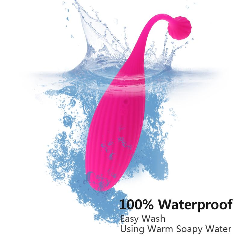 Télécommande sans fil G spot masseur App vibrateurs femelle stimulateur clitoridien vibrant oeuf Sex Toy pour femme_voghion.com