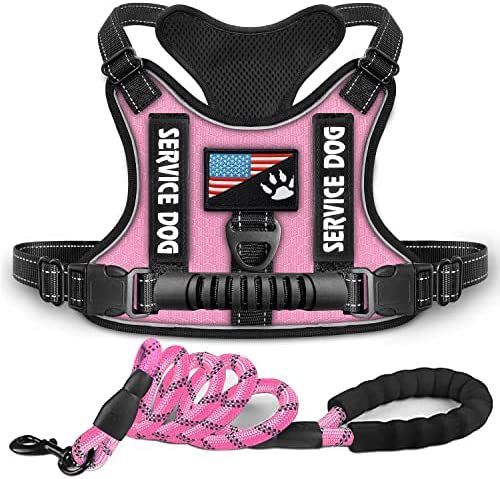 New Explosion-Proof Shock Absorption Night Vision Reflective Pet Chest Harness Vest-Style Leash_voghion.com