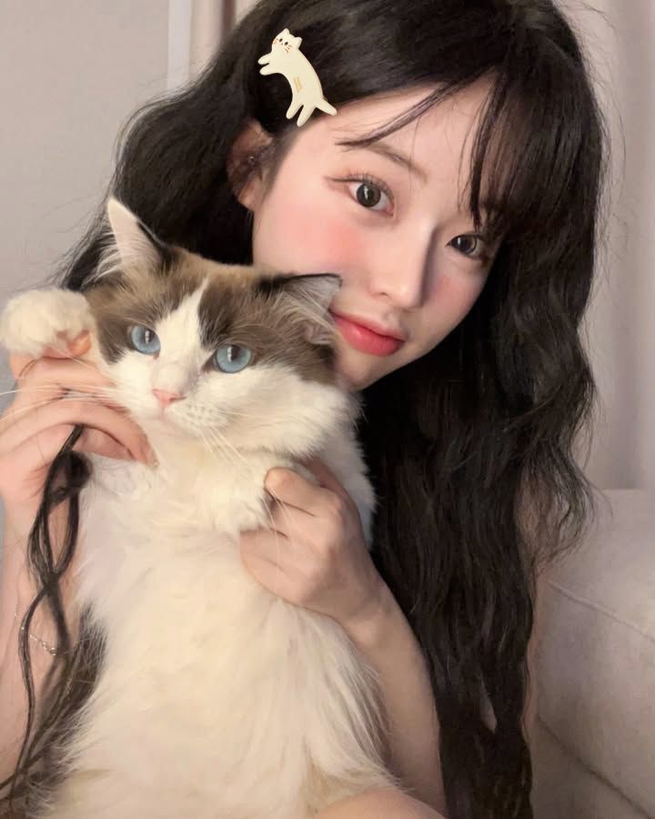 Korea Frankreich Bloggers süße kleine Katzenhaarspange Französische vielseitige Pony-Entenschnabelspange Seitlich gebrochene Haarspange_voghion.com