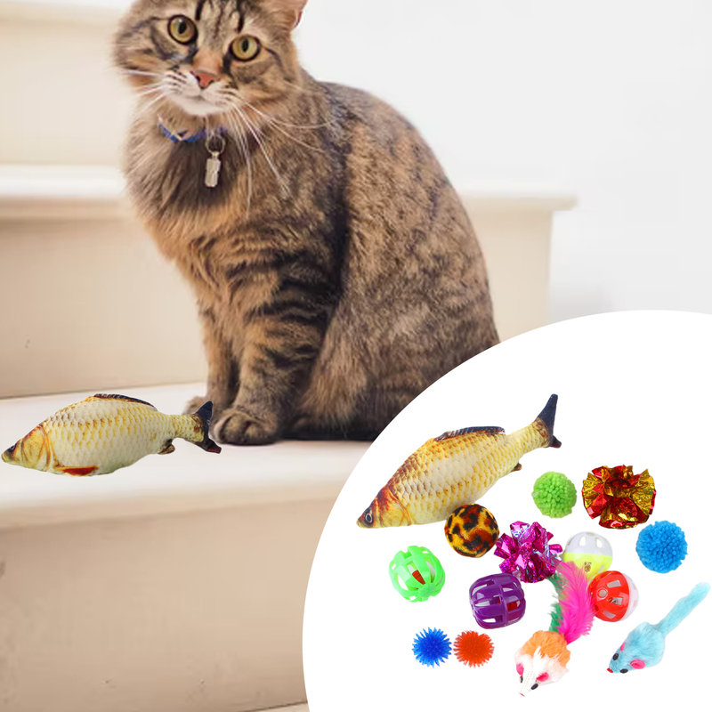 Guangying 14Pcs Cat Toys Fish Mouse Balls Catnip Toy Interactive Toy Cat Teaser Feather Toys Pet Leisure Toys_voghion.com