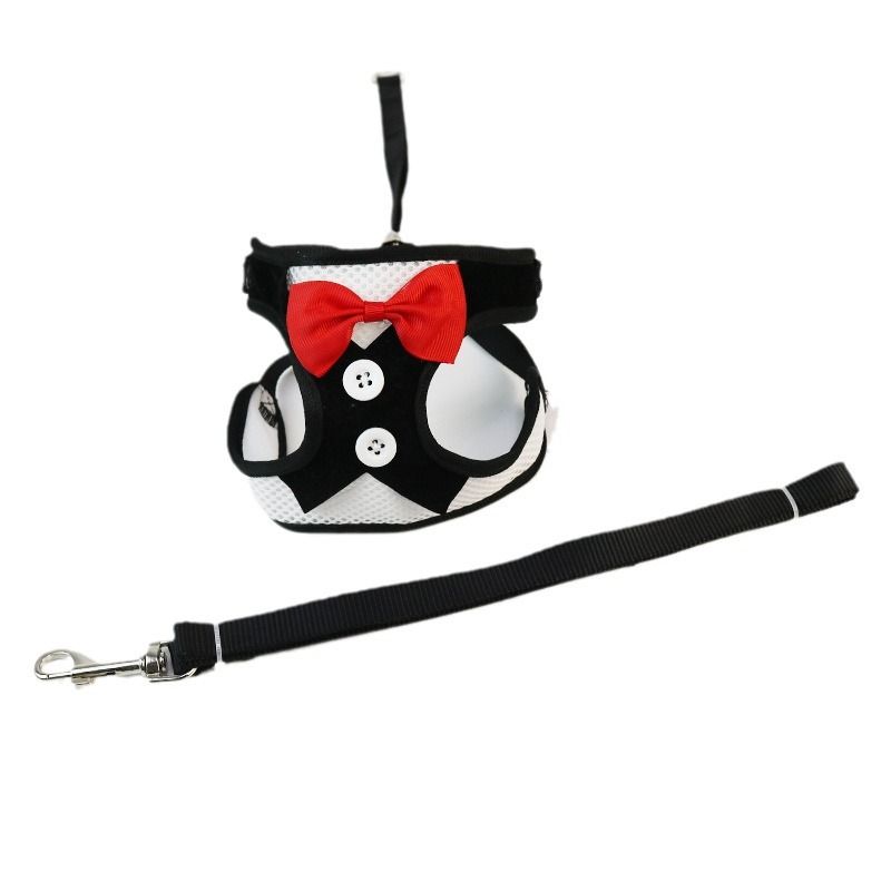 Hundeweste im Stil für Teddy Bichon Kleine Hunde Katzen Kaninchen Laufleine Heimtierbedarf_voghion.com